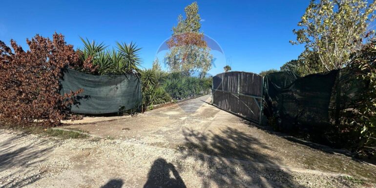 20251107194625-999330-8