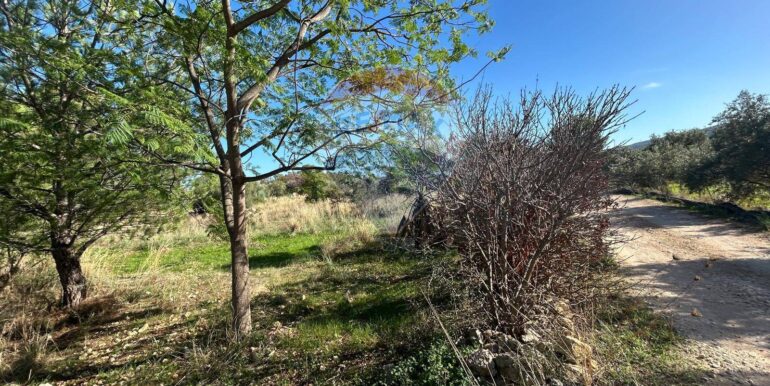 20251107194634-999330-11