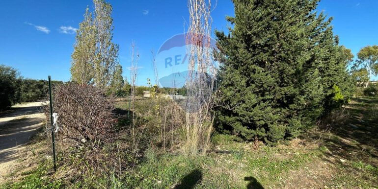 20251107194646-999330-15