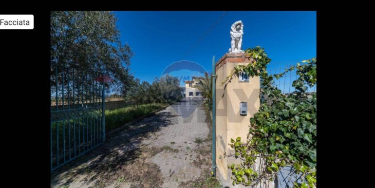 2025111010530-999779-2