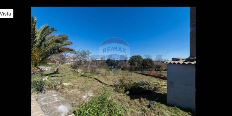 2025111010547-999779-4