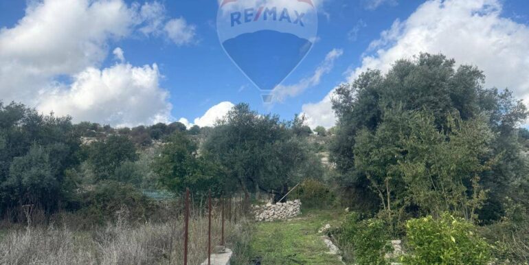 20251111115515-1000087-1