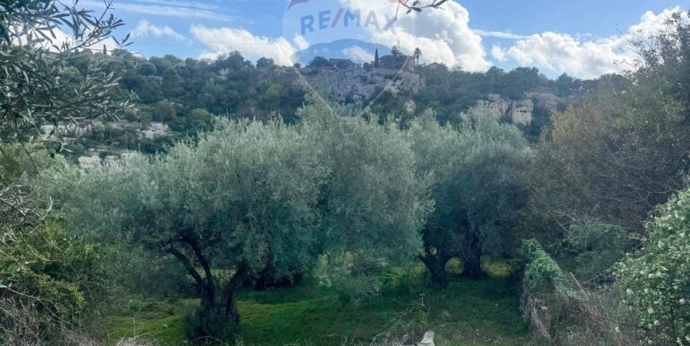 20251111115519-1000087-2