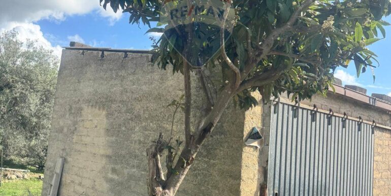 20251111115522-1000087-3