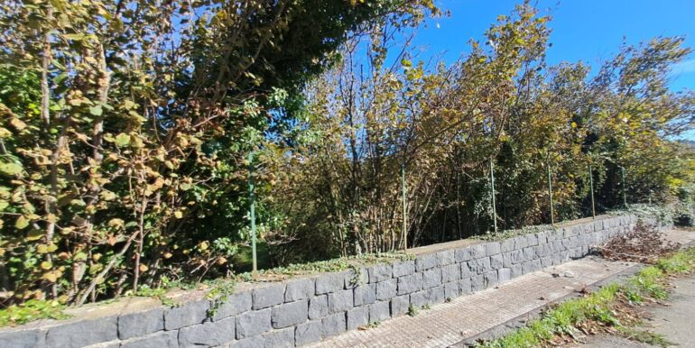 20251112194306-999747-4