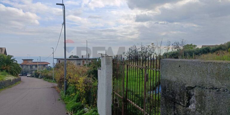 20251112205313-1000493-2