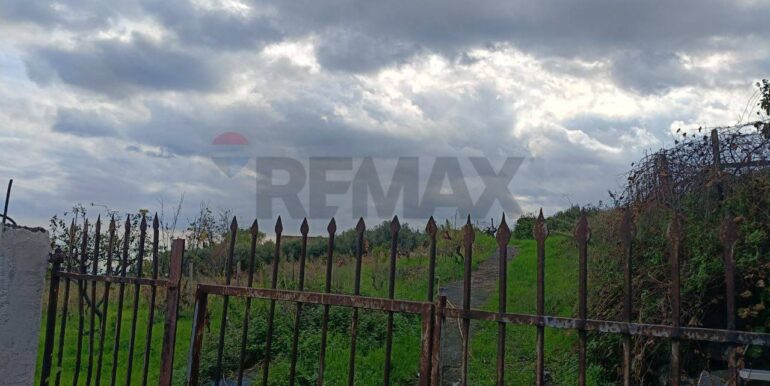 20251112205316-1000493-3