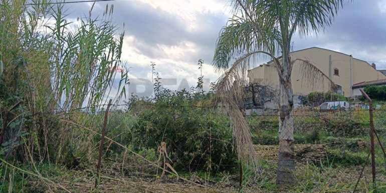 20251112205330-1000493-6