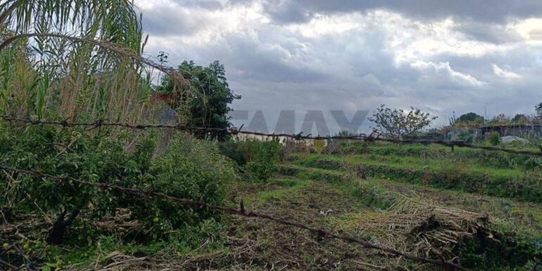 20251112205335-1000493-7