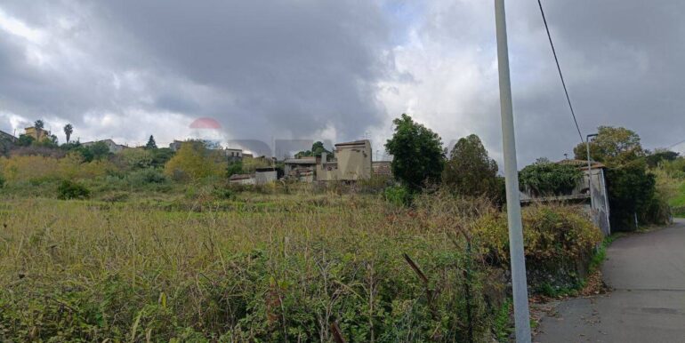 20251112205340-1000493-8