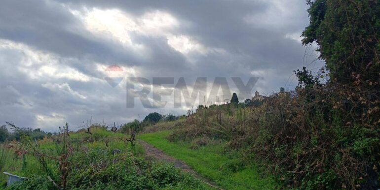 20251112205344-1000493-9