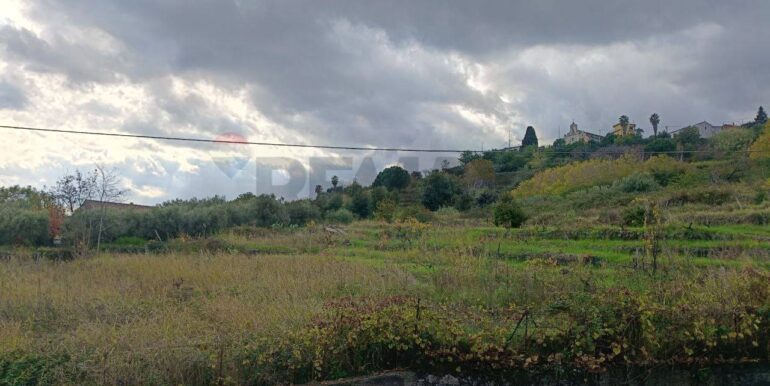 20251112210108-1000493-12