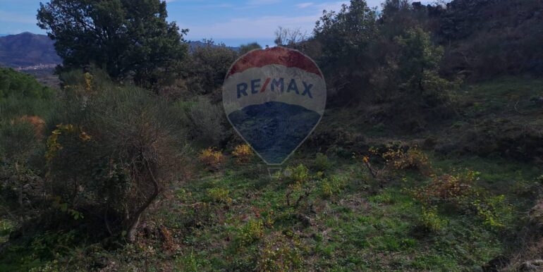 20251113181438-1000664-20