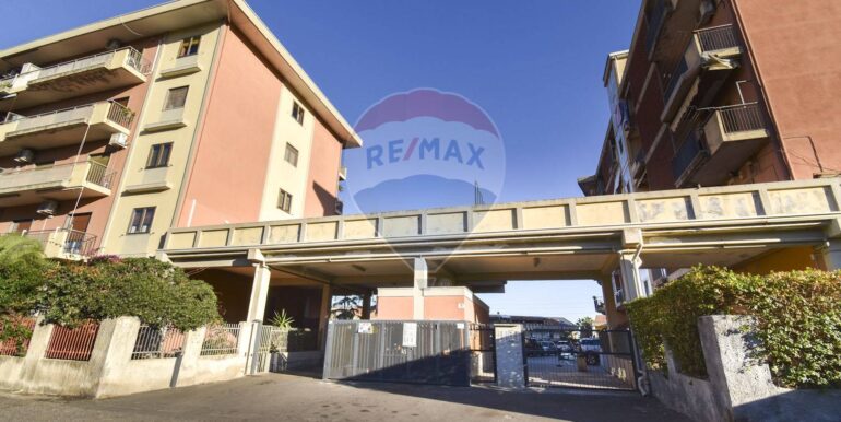 2025111793528-1000517-1