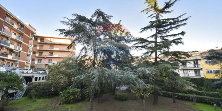 2025111793544-1000517-5