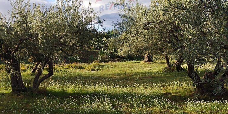 2025111875531-1001313-1