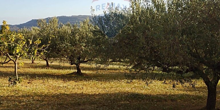 2025111875534-1001313-2