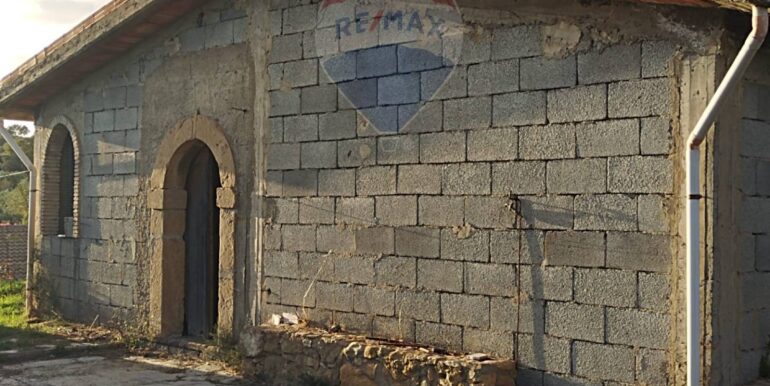 2025111875536-1001313-3