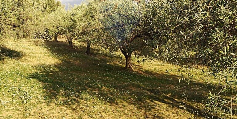 2025111875539-1001313-4