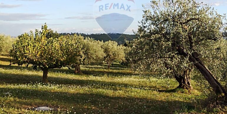 2025111875542-1001313-5