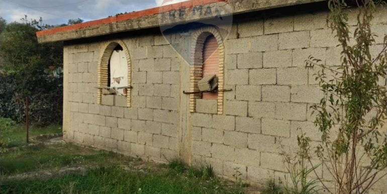 2025111875606-1001313-15