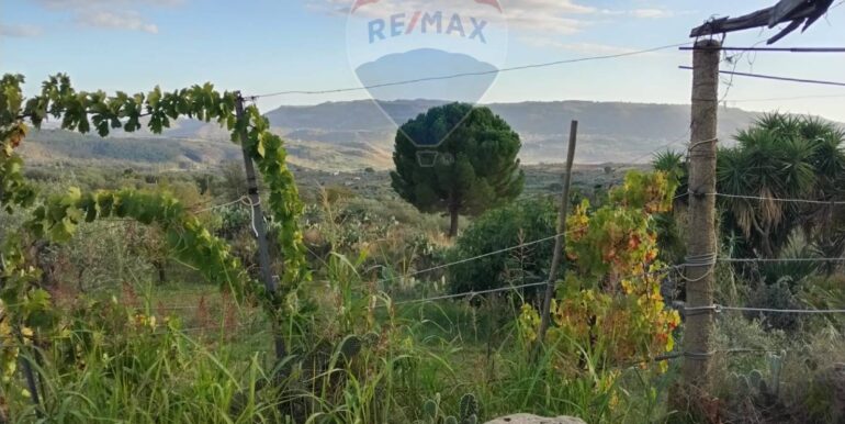 2025111875614-1001313-18