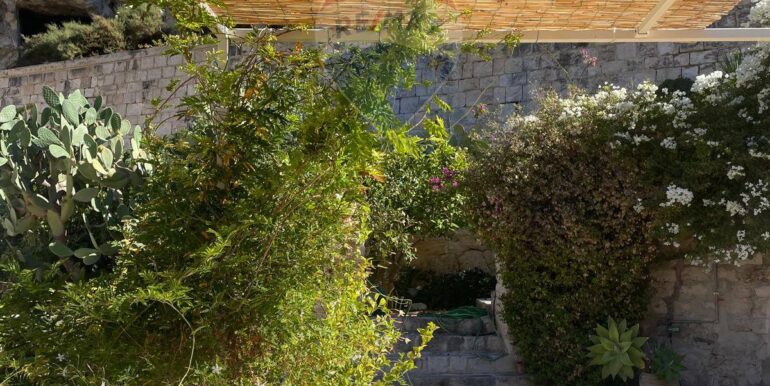 2025111922239-1002152-9