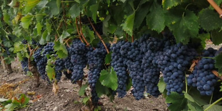 20251119224255-863699-3