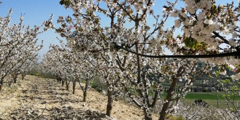 20251119224301-863699-5