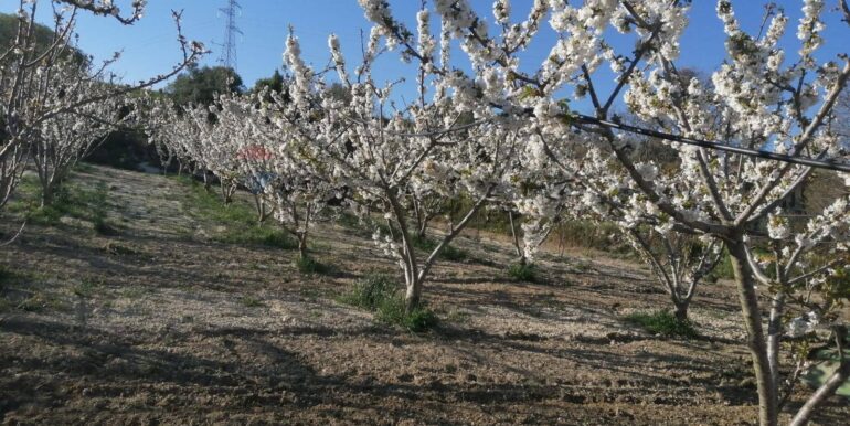 20251119224304-863699-6