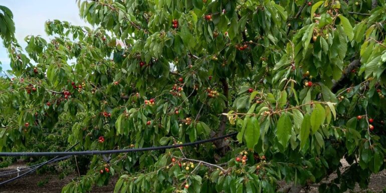 20251119224307-863699-7