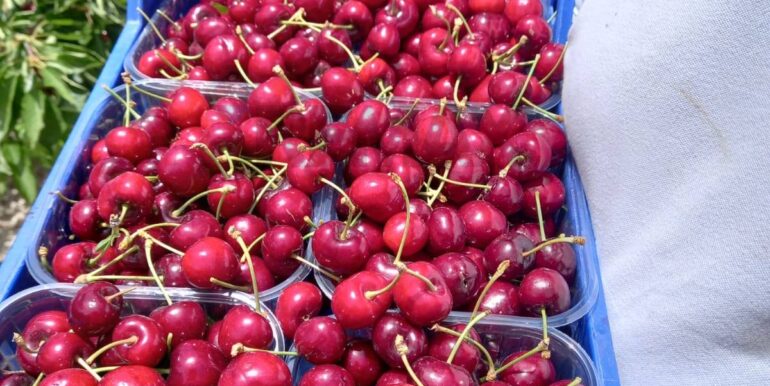 20251119224313-863699-9