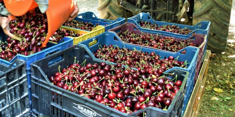 20251119224316-863699-10