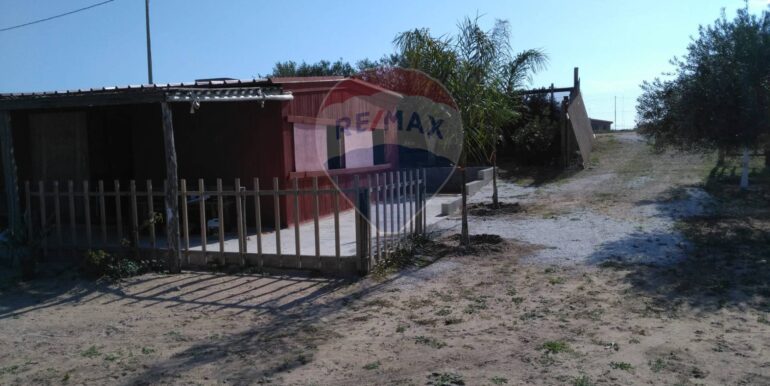 2025111931228-1002153-1