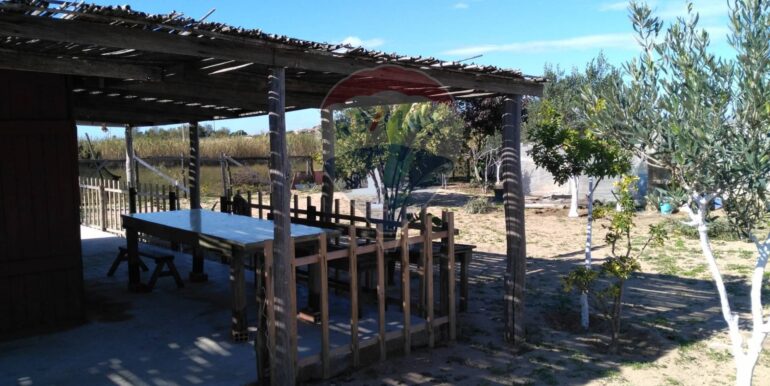 2025111931237-1002153-3