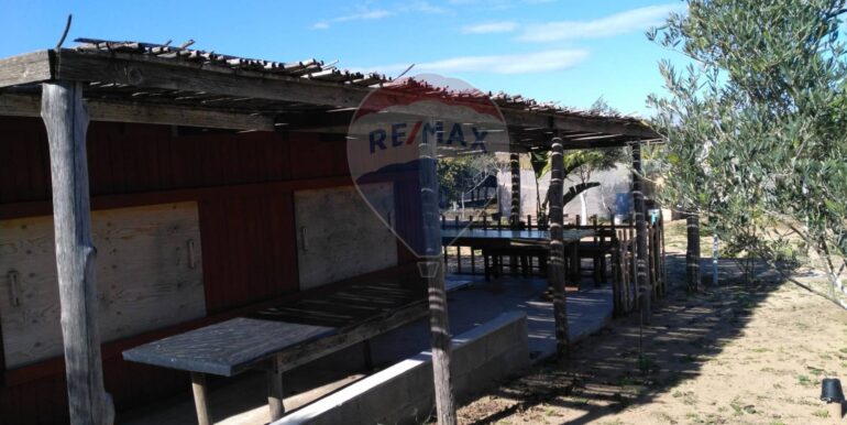 2025111931241-1002153-4