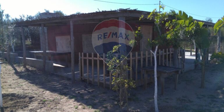 2025111931244-1002153-5