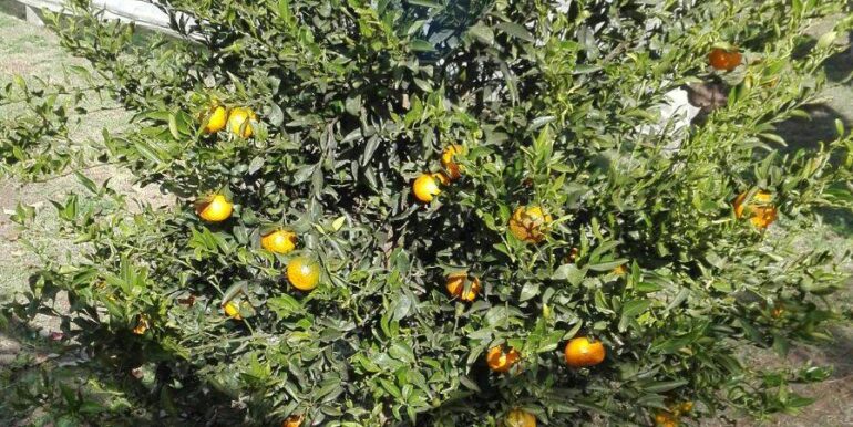 2025111931247-1002153-6