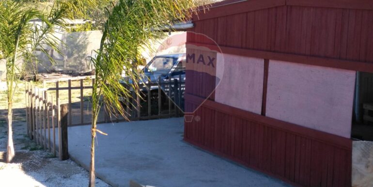 2025111931257-1002153-9