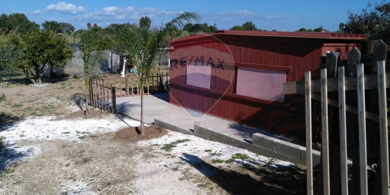 2025111931307-1002153-12