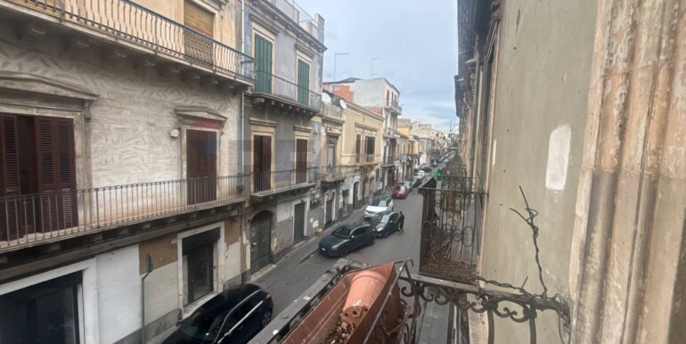 2025111942452-1002154-1