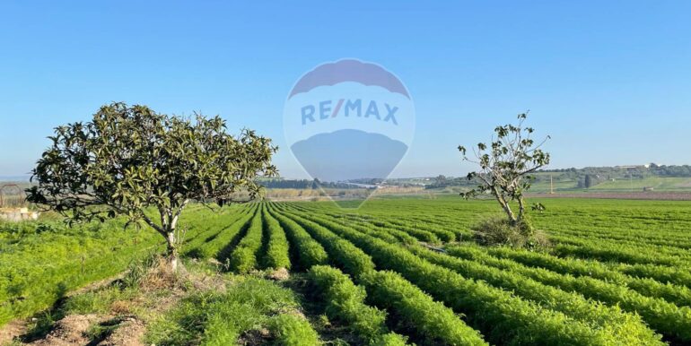 20251120101026-1002213-1