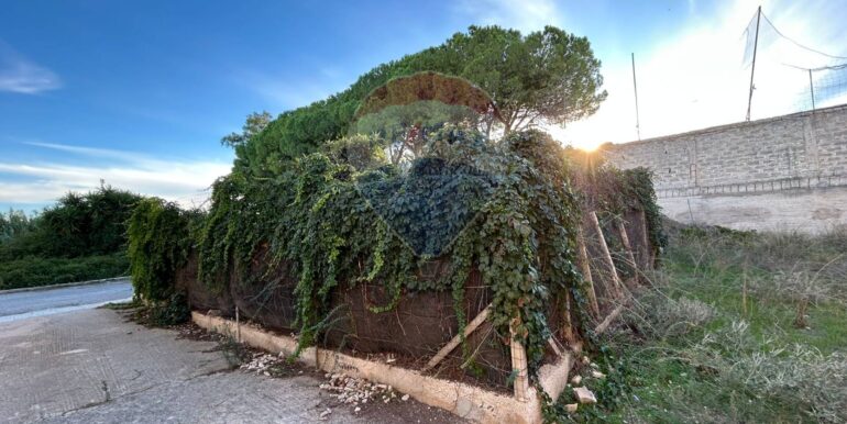 20251120124300-1002410-1