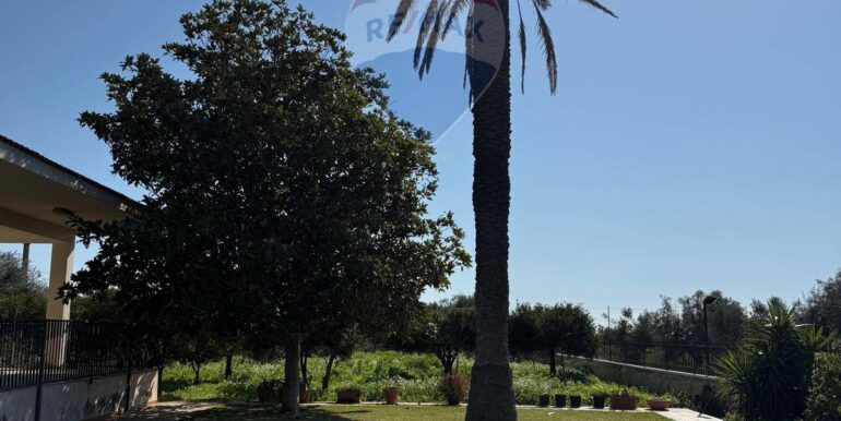 20251120124432-1002409-6