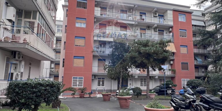 20251120161007-1002226-4