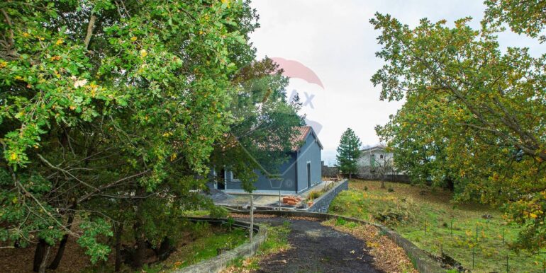 20251121181208-1000744-5