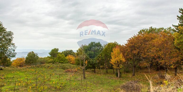 20251121181227-1000744-10