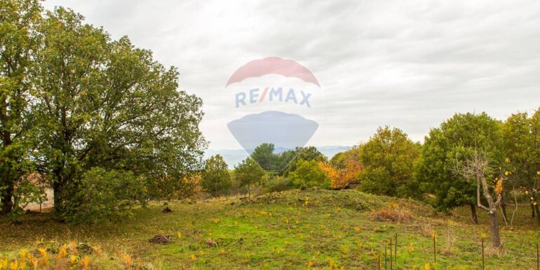 20251121181230-1000744-11