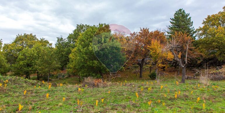 20251121181328-1000744-28