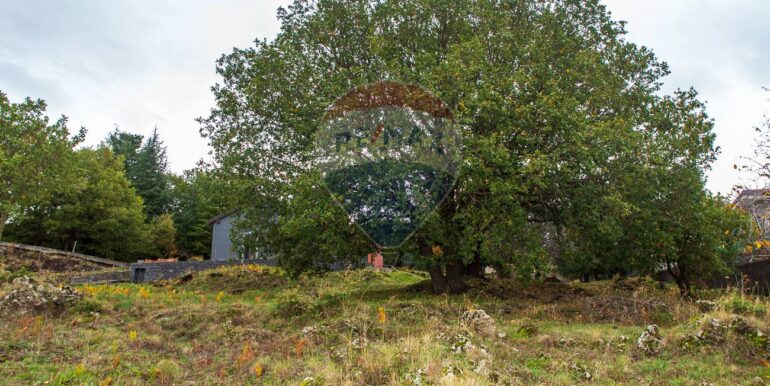 20251121181331-1000744-29